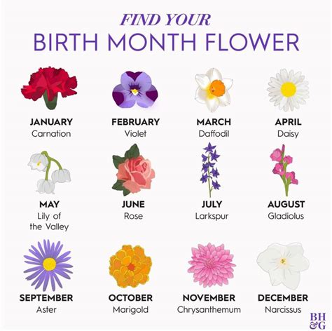 John Tesh Whats Your Birth Month Flower