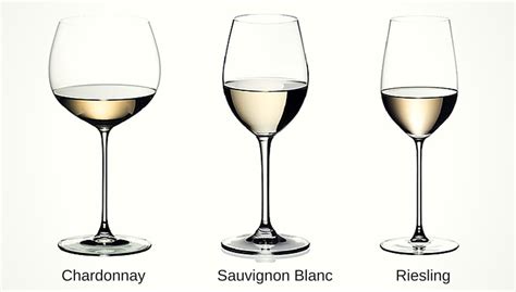 The Beginner Guide To Different Types Of Wine Glasses Vintage Roots
