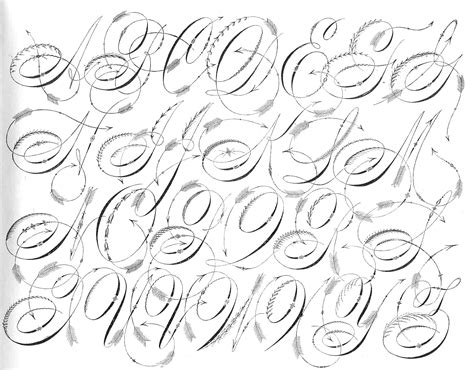 Let's start learning some cursive calligraphy letters. Knowles and Maxim