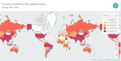 El Arroz Alimento De Medio Mundo Conocer La Agricultura Y La Ganadería