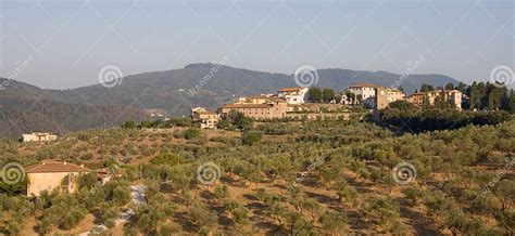 Italian Hillside Village Stock Photo Image Of Town Trees 12070790