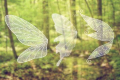 Fairy Wings Photoshop Brushes Wings