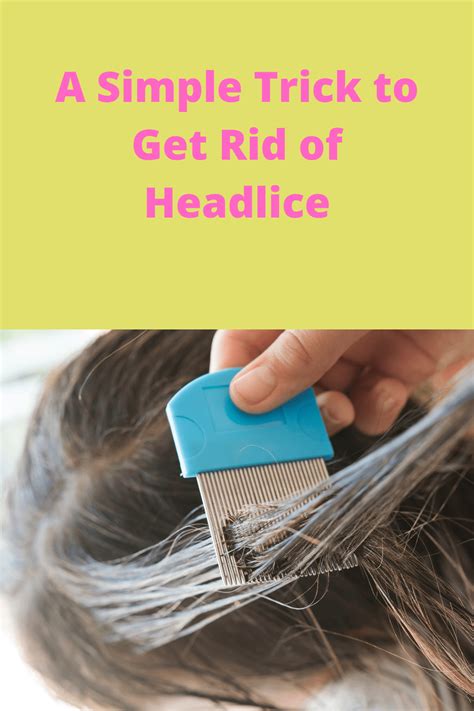 Headlice A Simple Tip For Getting Rid Of Lice Home Pest Solutions
