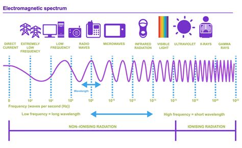 The Science Scamp