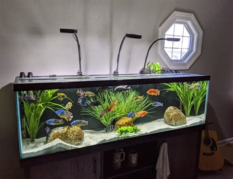 125 Gallons Fish Tanks And Aquariums