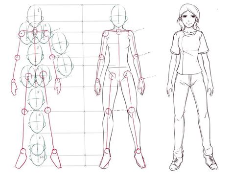 Pin By Val On Draw Human Anatomy Body Proportions Human Body