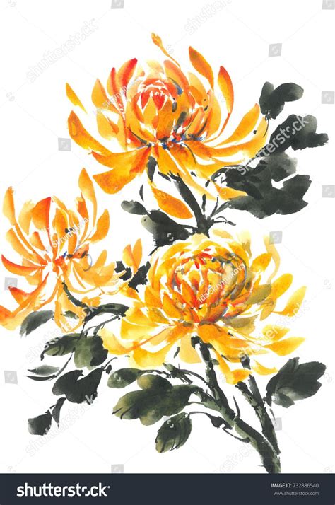 Yellow Chrysanthemum Bright Flowering Chrysanthemum Watercolor