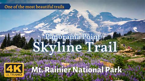 Mt Rainier National Park Panorama Point Skyline Trail Wildflowers