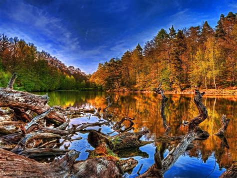 Autumn Lake Awesome Colors Cut Trees Reflections Nice Background