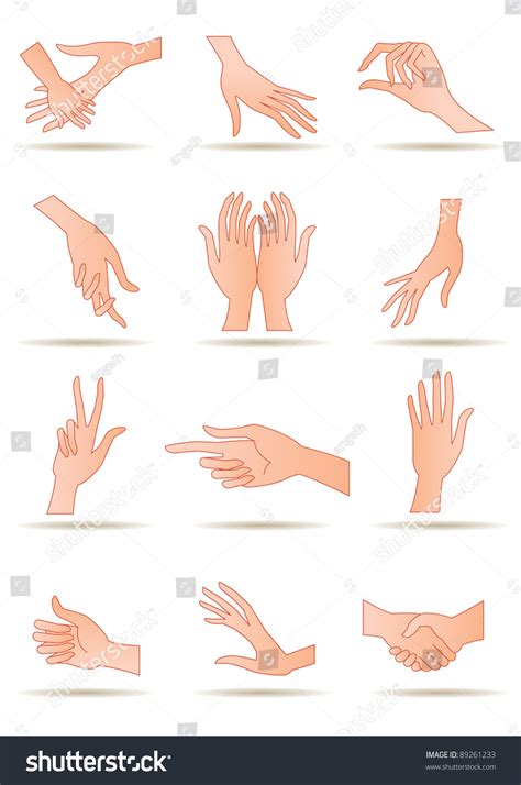 Humans Hands Different Positions Vector Illustration Vetor Stock