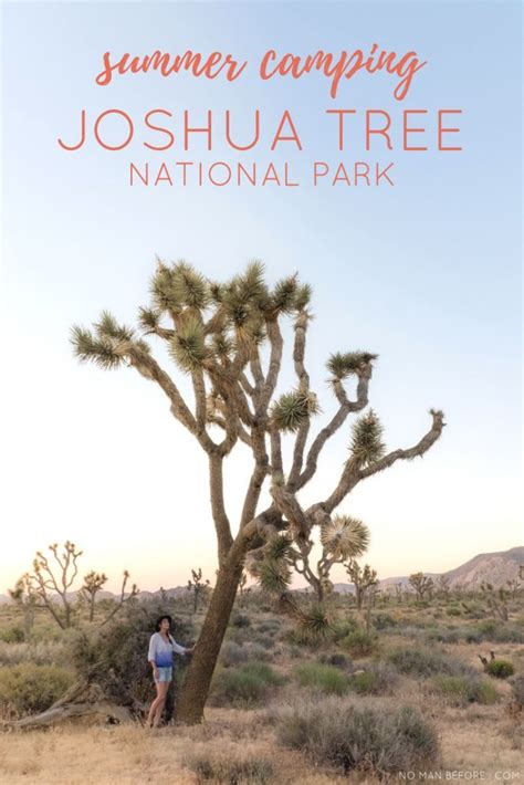 A Guide To Summer Camping In Joshua Tree National Park National Parks