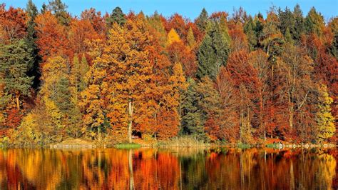 How Climate Affects The Look And Feel Of Fall Blog Nature Pbs