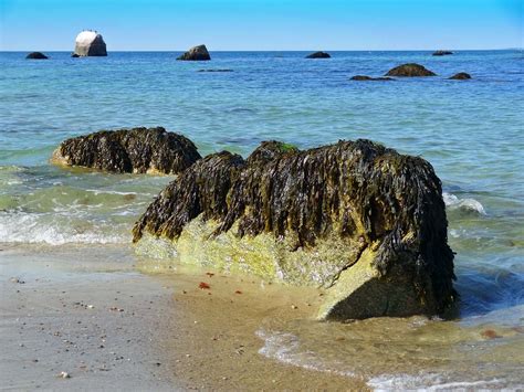joe s retirement blog oceanfront vs pondfront plymouth massachusetts usa