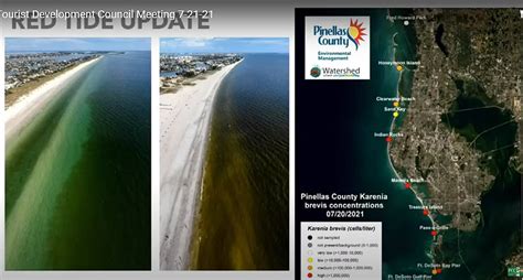 Red Tide Now Appears More Concentrated Along Pinellas Gulf Coast St