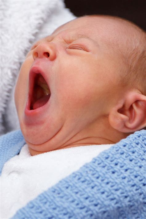 Yawning Baby Free Stock Photo Public Domain Pictures