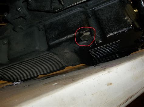 Nobody torque an oil filter, not that i know of and the drain plug i put it snug, and 10 ft lbs for the drain plug, that to me for some reason seems low. Oil Drain Plug Harley Evo - Best Drain Photos Primagem.Org