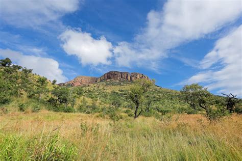 Marakele National Park Safari Prices Best Time Fees 2022