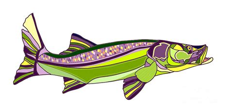 Snook Fish Digital Art By Robert Yaeger Fine Art America