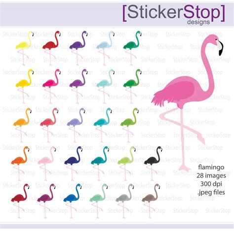 Flamingo Rainbow Digital Clipart Instant Download Png Files Etsy
