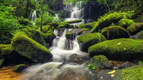 Waterfalls On Rocks Algae Covered Stones Green Plants Bushes 4k 5k Hd