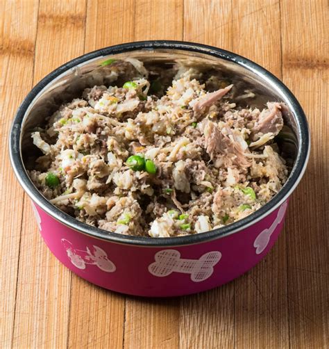 Healthy Homemade Dog Food - Tasty Low Carb