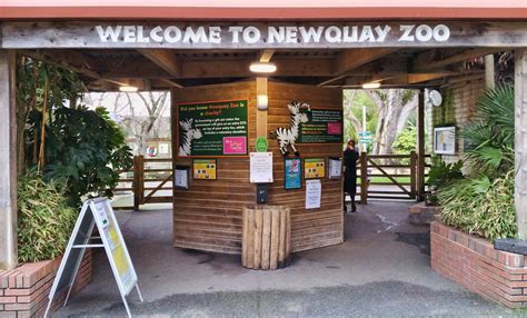 Newquay Zoo Newquay Cornwall Guide