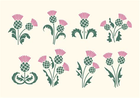 Thistle Vector Art Icons And Graphics For Free Download