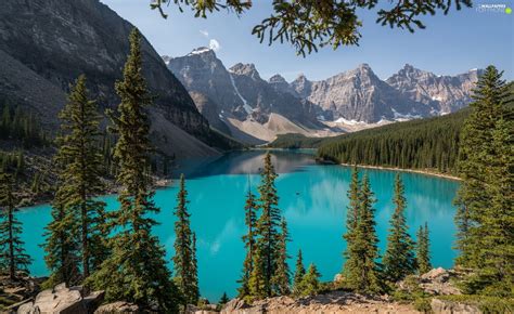 Banff National Park Lake Moraine Mountains Forest Viewes Alberta