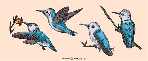 Realistic Hummingbird Illustration Set Vector Download