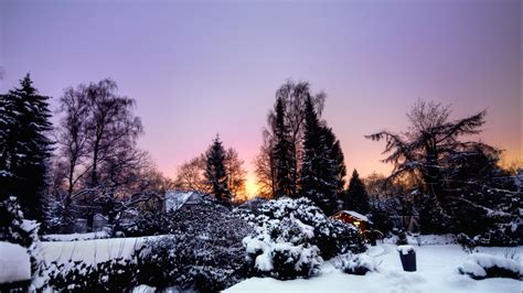 Winter Sunset Idyll Hd Wallpaper Background Image 1920x1080 Id