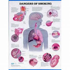 Dangers Of Smoking Chart
