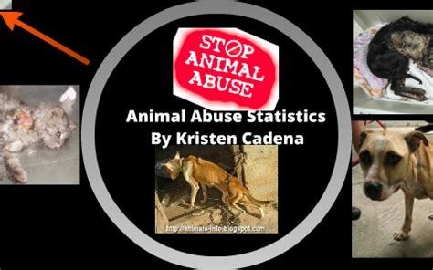 It is estimated that 32 present children harm their pets. Animal Abuse Statistics by Kristen Cadena