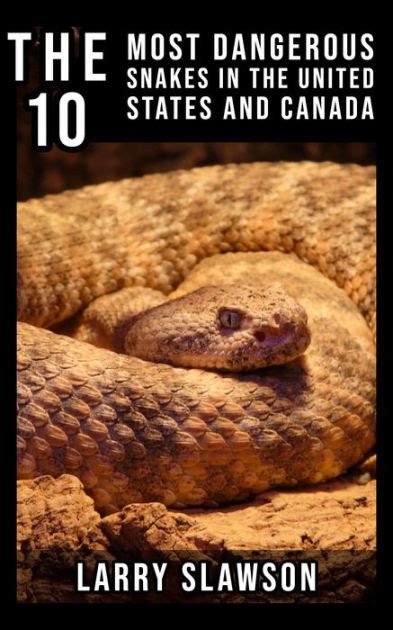 The 10 Most Dangerous Snakes In The United States And Canada By Larry