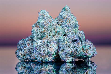 Catalyst Cannabis | Leading Retail Cannabis Dispensaries