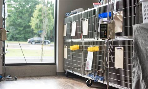 We have a 5100 square foot hospital with examination rooms, three hospital wards with separate treatment and surgery areas (including laser surgery), over 40 kennels for. Expert Veterinary Care in Lakeland | The Pet Hospitals