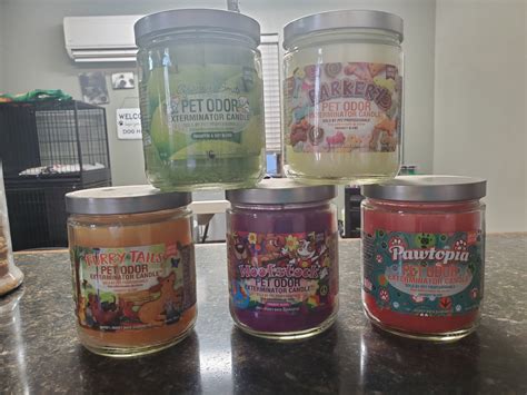 Gardenia delight pet odor eliminator candle. Odor Eliminator Candles