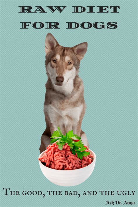 Our raw dog recipes are completely tailored to your dog's specific needs. Raw diet for dogs: The good, the bad, and the ugly ...