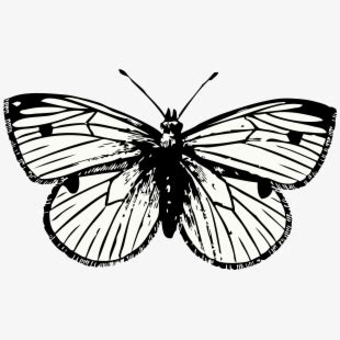 Free Free 76 Harry Styles Butterfly Tattoo Svg SVG PNG EPS DXF File