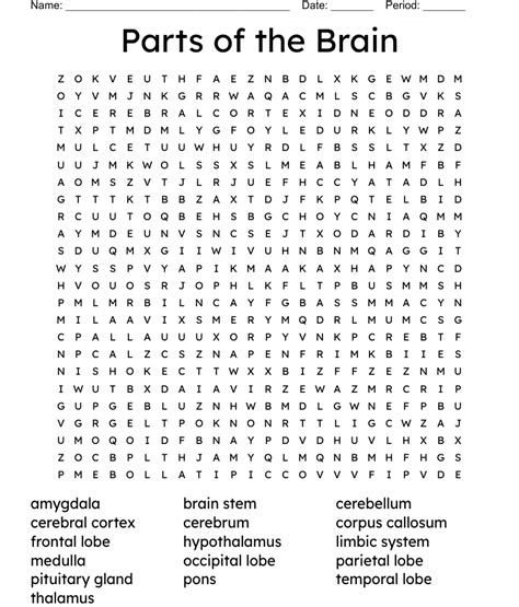 The Brain Word Search