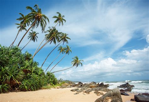 The 20 Best Beaches In Sri Lanka Epic Beach Resorts And Hotels