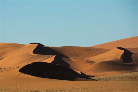 Free Images Landscape Sand Desert Dune Grassland Habitat