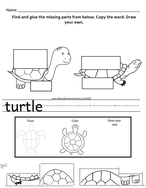 Critical Thinking Worksheets For Preschoolers