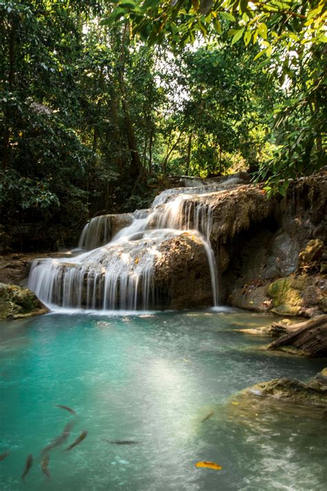 Amazing Waterfall Flowing Into Pond In Jungle On Sunny Day · Free Stock