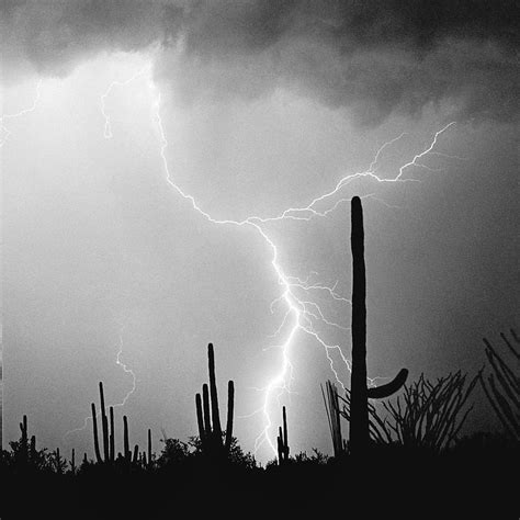 Saguaro Lightning Monochrome Square Photograph By Douglas Taylor Pixels