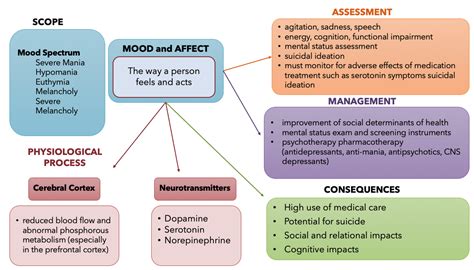 Concept Map Mood And Affect Fundamentals Of Nursing Pharmacology