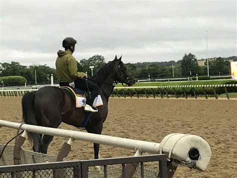 Daily Racing Form news, images and handicapping resources for Belmont