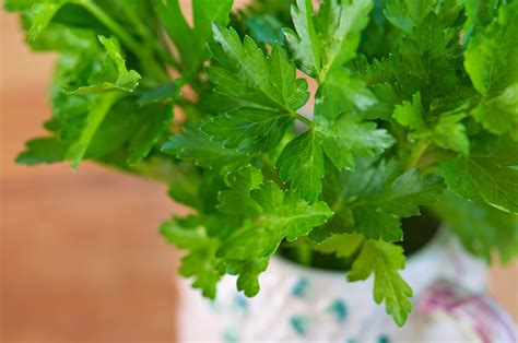 Parsley Steals the Show | Mixed Greens Blog