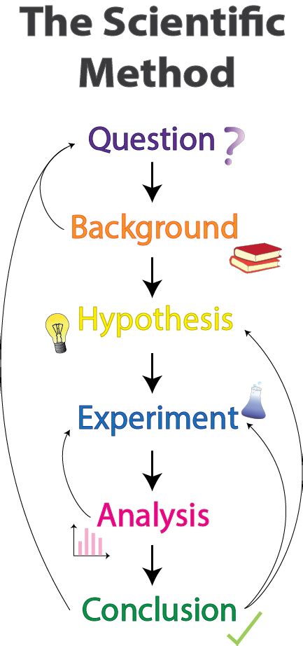 Scientific Method Definition Steps And Examples Video And Lesson