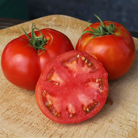 Tomato Big Beef F1 Seed Harris Seeds