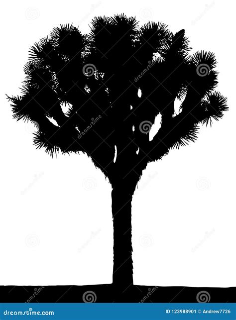 Vector Silhouette Of Joshua Tree Stock Illustration Illustration Of